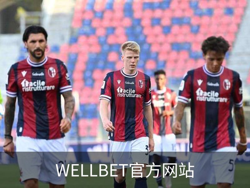 WELLBET官方网站简介